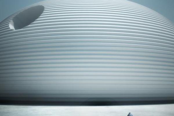 飞凤之命：命理中的华丽旅程与独特视角