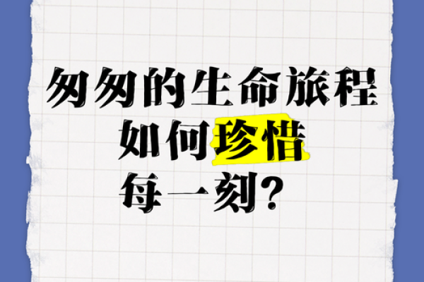 生命的脆弱:珍惜每一刻,从心出发的旅程 生命的脆弱:珍惜每一刻,从心出发的旅程