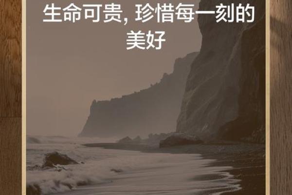 生命的脆弱:珍惜每一刻,从心出发的旅程 生命的脆弱:珍惜每一刻,从心出发的旅程