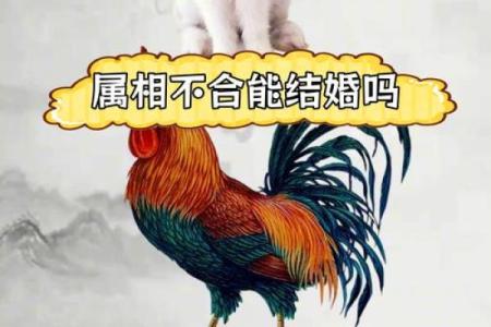 属鸡命与哪种命最为婚配？探讨鸡年人的爱情与配对