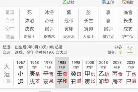 什么命最旺木命？揭秘木命人的运势与命理!