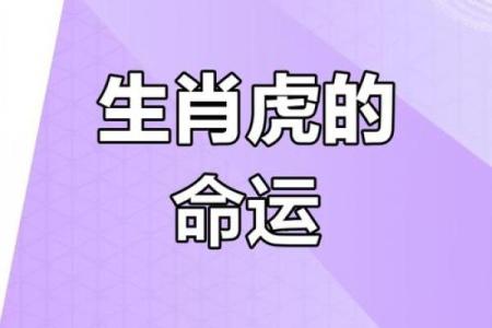 属虎人：在17年需注意的命理与运势提升之道