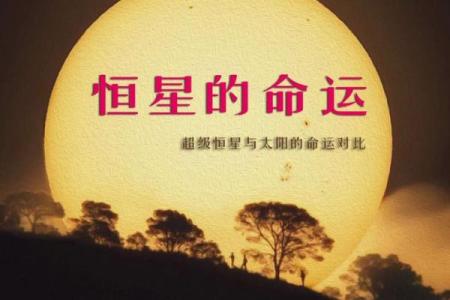 十点钟出生的太阳：揭开命运的神秘面纱