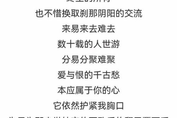 少爷身子下一句什么命：在迷雾中追寻自我之路