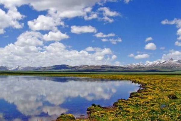 桑柘木命与其他命格的完美结合与相互影响 桑柘木命与其他命格的完美结合与相互影响