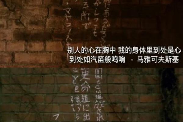 街头流浪者的命运：每一颗心背后的故事与选择