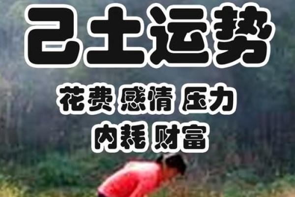申己土命的人:性格特征与生活智慧的结合 申己土命的人:性格特征与生活智慧的结合