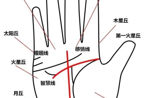 手相揭秘:第一条线代表你的命运与性格特征 手相揭秘:第一条线代表你的命运与性格特征