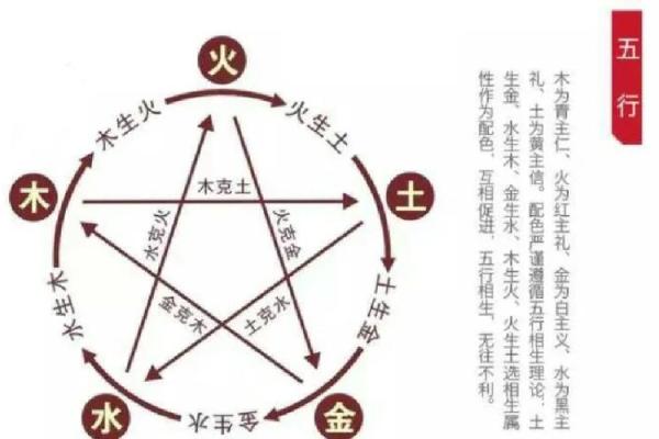 属羊子时鼠出洞,命运之轮如何旋转? 属羊子时鼠出洞,命运之轮如何旋转?