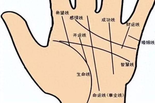 手相揭秘：不同掌纹暗示你的人生命运与未来