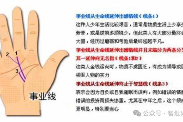 手相揭秘：不同掌纹暗示你的人生命运与未来