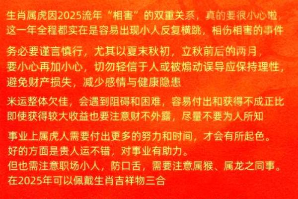 属虎女孩晚上出生运势分析与命理解读