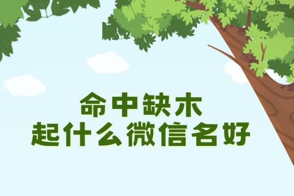 木命人的微信名字选择与健康的关系探讨