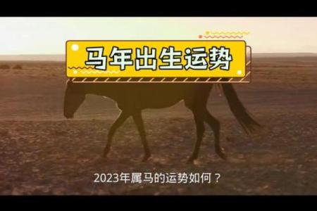 属马者过了32岁，后半生命运解析与人生智慧