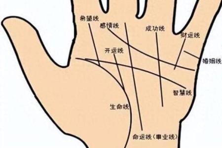 手相揭秘：不同掌纹暗示你的人生命运与未来