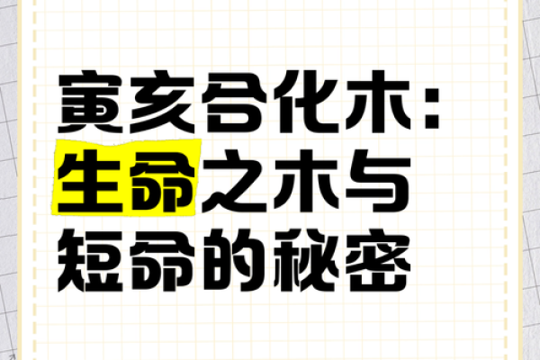 什么木命最好？探索木命中的最强元素与命运之道