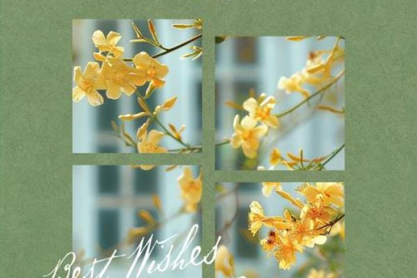 和尚命:解读命运与人生的真谛 和尚命:解读命运与人生的真谛