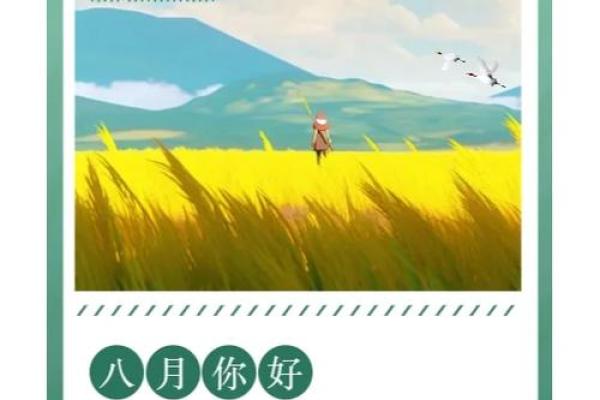 农历八月出生，命运的精彩与挑战：深度解读