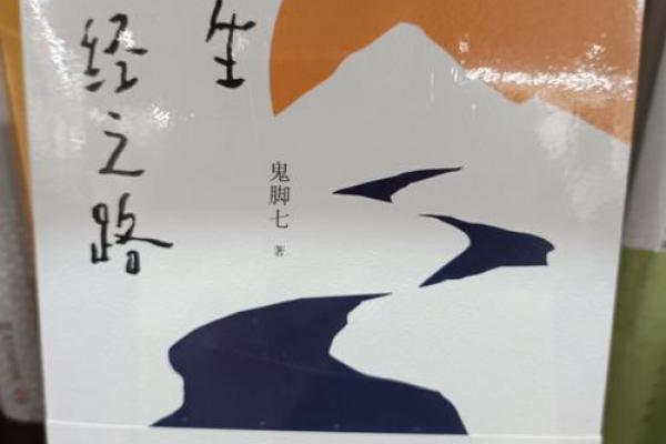 如影随形，命运之路的多重选择与困惑