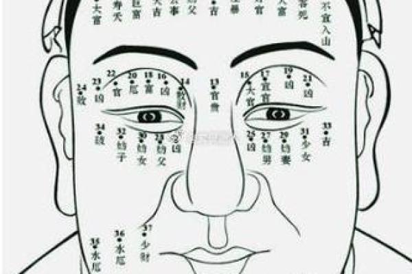 男性铁扫帚命与其他命理的完美搭配解析 男性铁扫帚命与其他命理的完美搭配解析