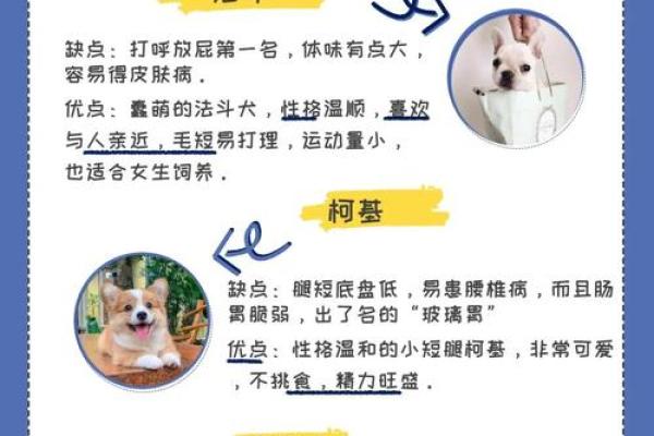 农历6月狗命解析:探索性格与命运的奥秘 农历6月狗命解析:探索性格与命运的奥秘
