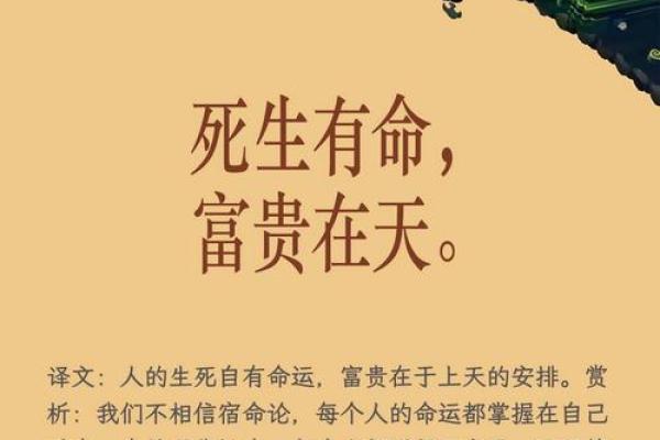 人的命天注定——探寻人生的旋律与意义