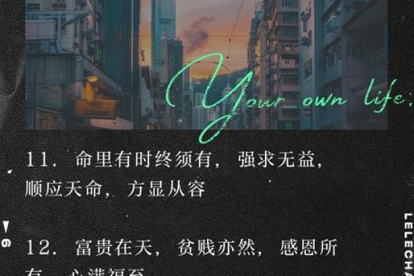 人的命天注定——探寻人生的旋律与意义