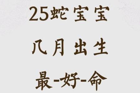 蛇的时辰与五行命理解析：探秘蛇年出生者的命格奥秘