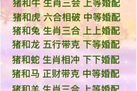 属猪腊月二十四的命理解析：揭示你的性格与未来运势！