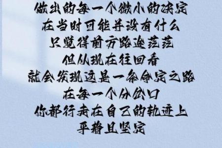 如影随形，命运之路的多重选择与困惑