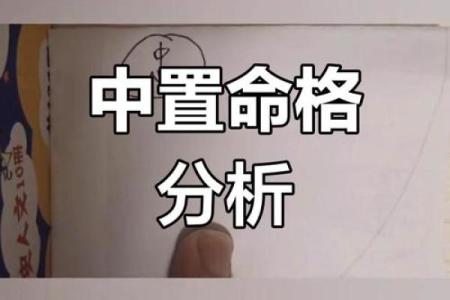 属狗五行命理解析：如何顺应命格，提升运势？