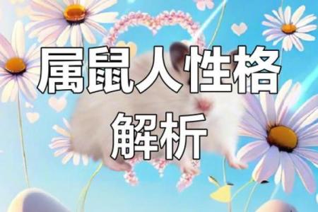 属鼠38岁的人命运分析，揭示人生的智慧与挑战