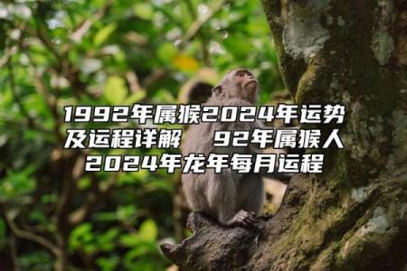 属猴人1992年命理解析：在生活与事业中的运势与挑战