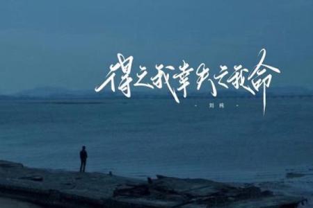 如何通过命局了解自己的喜好与命运之道