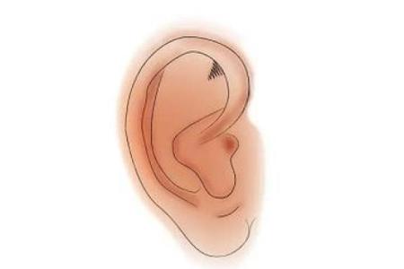 火命人的耳朵偏小，探秘背后的神秘原因与影响