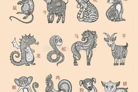 女性31岁命运解析：不同生肖的多重影响与幸福之路