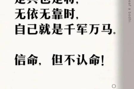 士兵的命运：一段荣耀与牺牲的故事