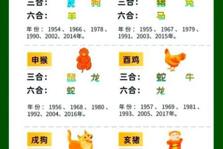 三从四德与生肖的深刻联系：解读中国传统文化中的智慧与价值观