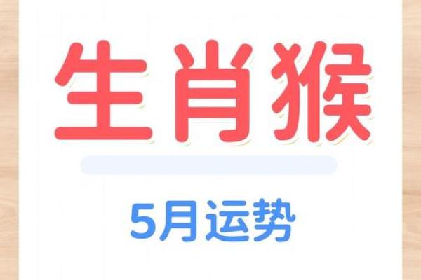 属猴54岁的人生运势与命运解析：智慧与灵活的结合