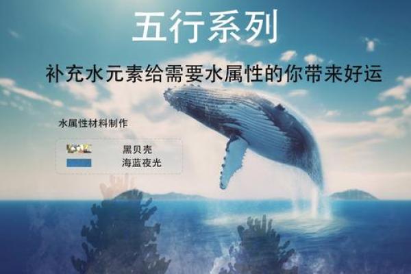 属水命人的生肖特点及其生活智慧 属水命人的生肖特点及其生活智慧