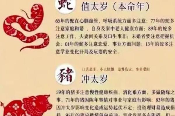 农历二十三出生的女生命运解析：你是星星的女儿吗？