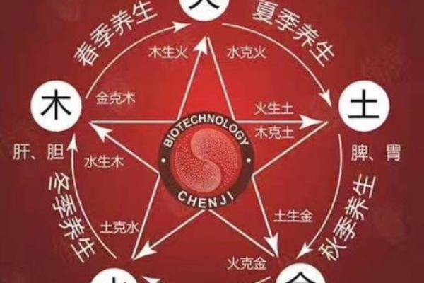 生木命与克木命：探讨五行中的生克关系与命理启示