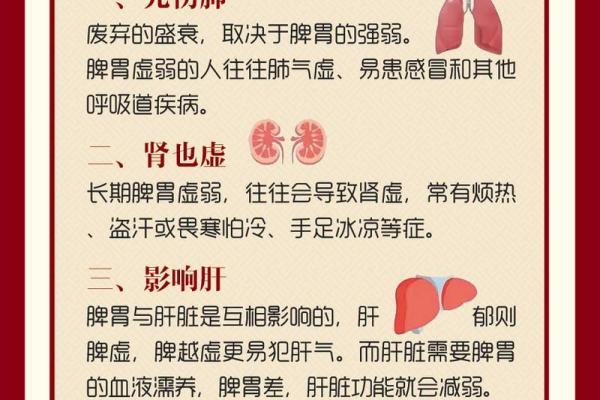 从右肺到脾胃：解读内脏与健康的微妙关系