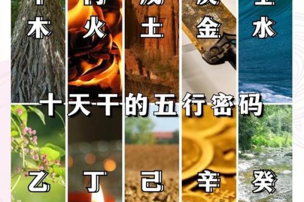 了解十大天干五行命理：解析日常生活中的命运影响