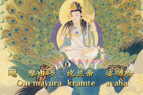 十二命中的孔雀命：美丽与智慧的化身