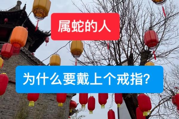 属蛇人的命运解析：智慧与灵动的象征