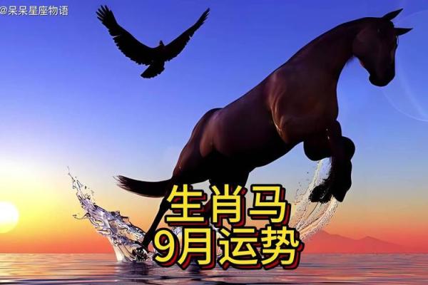 女45岁属马：命运与运势的完美交融