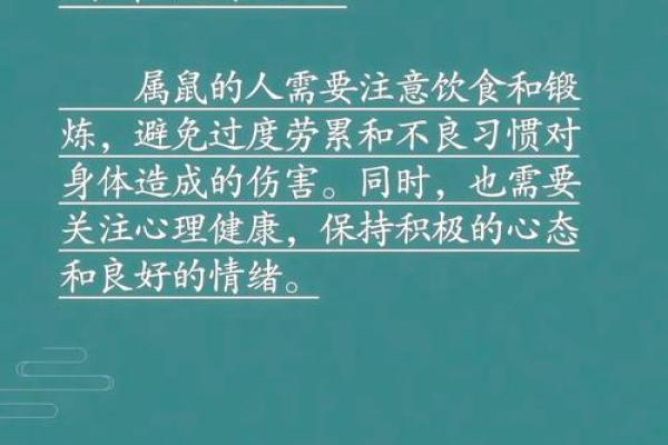 属鼠3月出生的命运解析：如何把握人生机遇与挑战