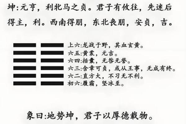 揭开命理奥秘:乾造命与坤造命的深刻解析 揭开命理奥秘:乾造命与坤造命的深刻解析