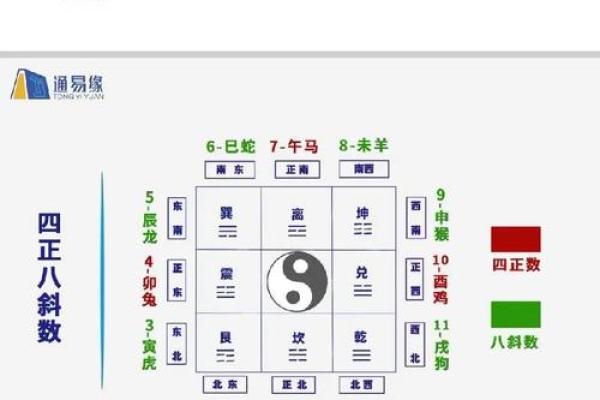 八字命理：从八字看如何判断一个人是否有大病命格